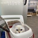 역삼2-115 이미지