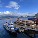 통영관광정보센터 | 통영 여행 필수코스 | 통영유람선터미널에서 통영 장사도 유람선 타기(ft. 좌석 꿀팁)