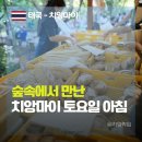 치앙마이 모닝마켓 추천｜나나정글 Bamboo Saturday Market 솔직 후기