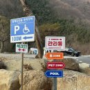 3561 | 경남 애견동반 펜션 산청 앤더포레 후기, 아기랑 강아지랑 다녀온 펫존 숙소