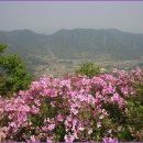 자굴산순환도로 이미지