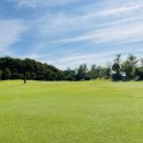 갈대습지공앞앞 이미지