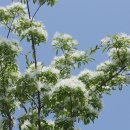 이팝농장 이미지