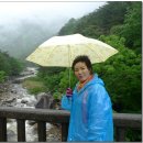 서희여행사