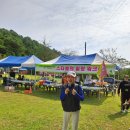 꽃과 그늘 이미지