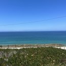 대서양식당 이미지