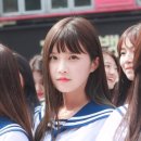 송하영 카카오 검색결과