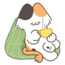 군산금광초등학교 이미지