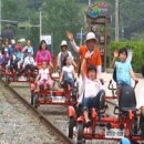 대숲여행 이미지