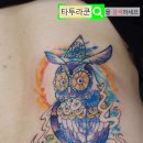 코스믹아울 네이버블로그