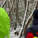 “육지서 넘어온 멧돼지, 제주 전역으로 번진다”…면적 36%가 위험 지역 이미지