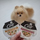 (주)홀썸 이미지