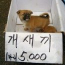모란시장