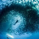 바다모은 이미지