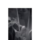오우드(OUD)