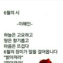 6월의시(이해인) 이미지