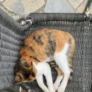 관통주유소 이미지