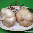 행복샘농장 이미지