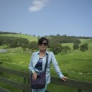 영철목장 이미지