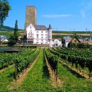 창연농장 이미지