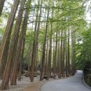 장태산휴양림 이미지