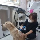 뷰티 몽 이미지