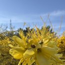 조은꽃식물원 이미지