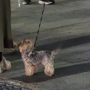 씨유노원천년대로점 | (25. 7월) 일상기록 / [IN 속초]