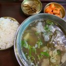 돈유1로 | 혼자 걷는 교토 ✨