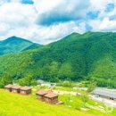 미인목장 이미지