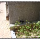 마실한바꾸 이미지