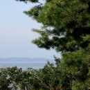 테라롯지 이미지