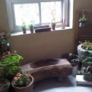 올리브나무학원 이미지