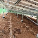 한국쏠라뱅크 태양광발전소 이미지