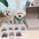 마루세끼 이미지