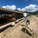 선희목장 이미지