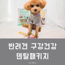 플러스덴치과기공소 | 강아지 바르는 애견 치약 덴티치카 3주 전/후 비교