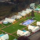 핫도그 애견 이미지