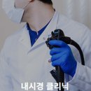 파티마외과 티스토리