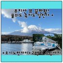 KABA | 후지산 당일투어, 하루 만에 가능할까?｜야마나카코·KABA·오시노핫카이·고텐바 코스 |도쿄출발