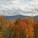 Vermont's Green Mountain National Forest (4K UHD) 이미지