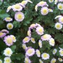 옥수동성당 이미지