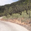 세림농장 이미지