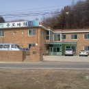 함사세
