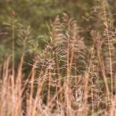 아모르미오 이미지