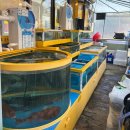 삼학도 | [수원 영화동] 수원토박이의 최애 횟집 삼학도 수산 모둠회 후기