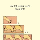 별별케이크