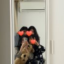 체리네 애견미용실 이미지