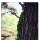 농도원목장 이미지