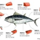 맑은유통 이미지
